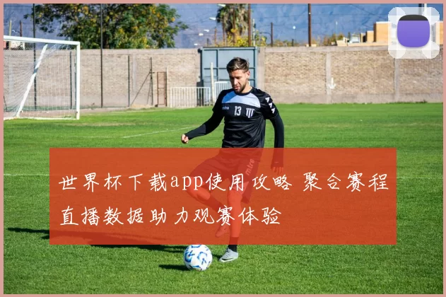 世界杯下载app使用攻略 聚合赛程直播数据助力观赛体验