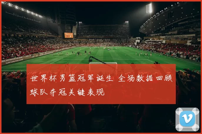 世界杯男篮冠军诞生 全场数据回顾球队夺冠关键表现