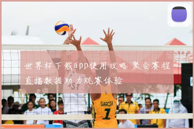 世界杯下载app使用攻略 聚合赛程直播数据助力观赛体验