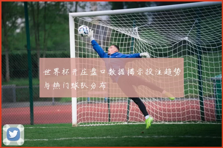 世界杯开庄盘口数据揭示投注趋势与热门球队分布