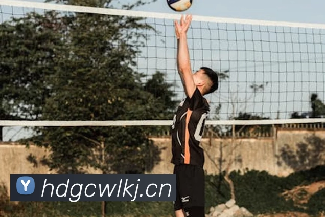 B体育·(B - sports)官方网站发展历程